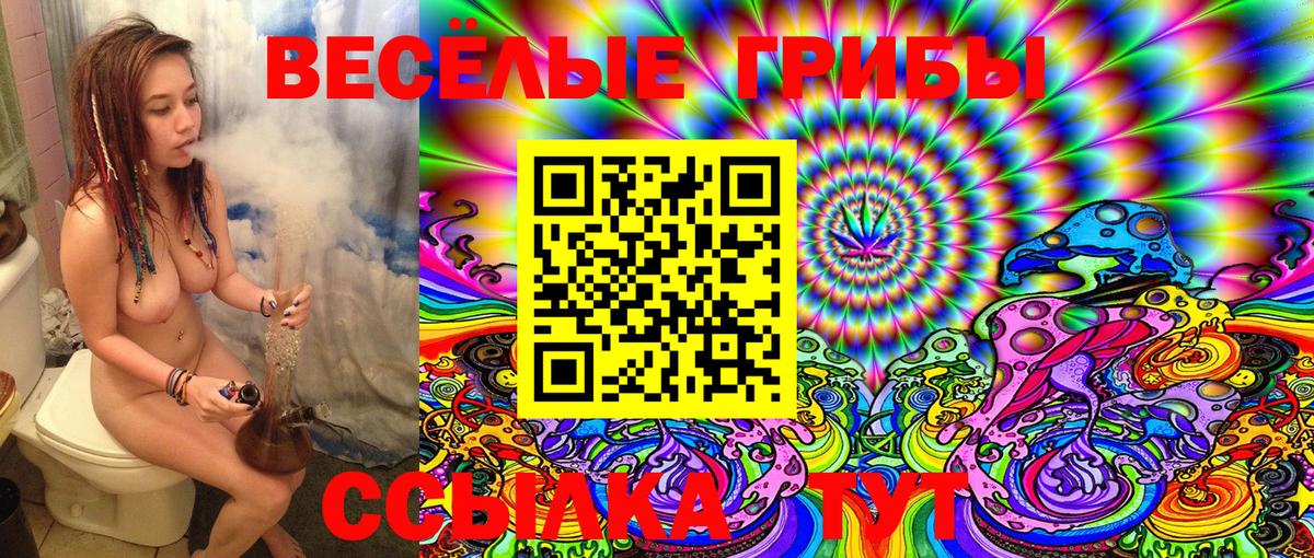 Печора  Галлюциногенные грибы Psilocybine cubensis  Псилоцибиновые грибы Psilocybe  Вход с VPN 